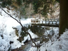 林道に降りてきました