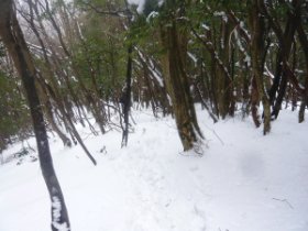 ダダ下りの始まり