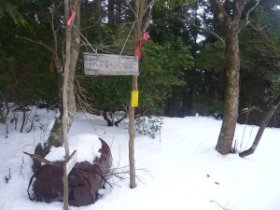 田村川林道分岐