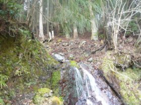 林道に降りてきました