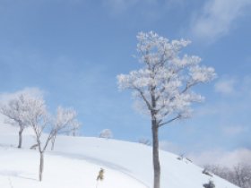 ピークはすぐそこ