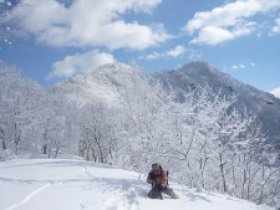 ピークが見えました