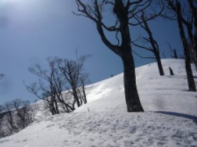 上がってきましたよ