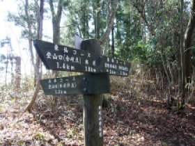 奥本登山道合流