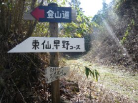 林道にでました