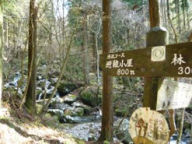 渓流コースと合流