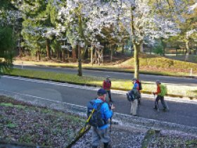 ぼちぼち行きましょか