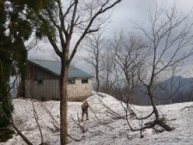 一王子避難小屋