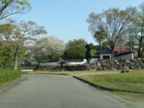 二王子スパーク