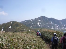 見えてきました