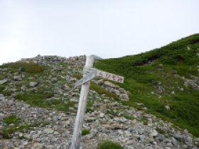 しらびそ峠分岐