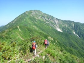 大きくなってきました。