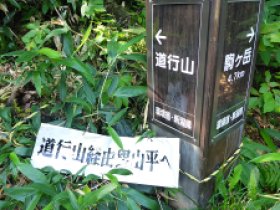 道行山分岐