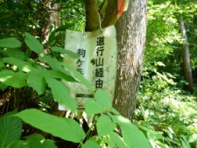 林道に降りてきました