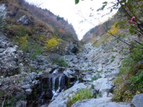 ☆沢に出てきました